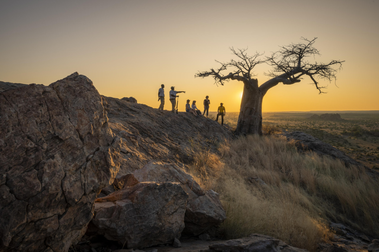 Bei einer Fußpirsch das Wunder der Wildnis Afrikas spüren