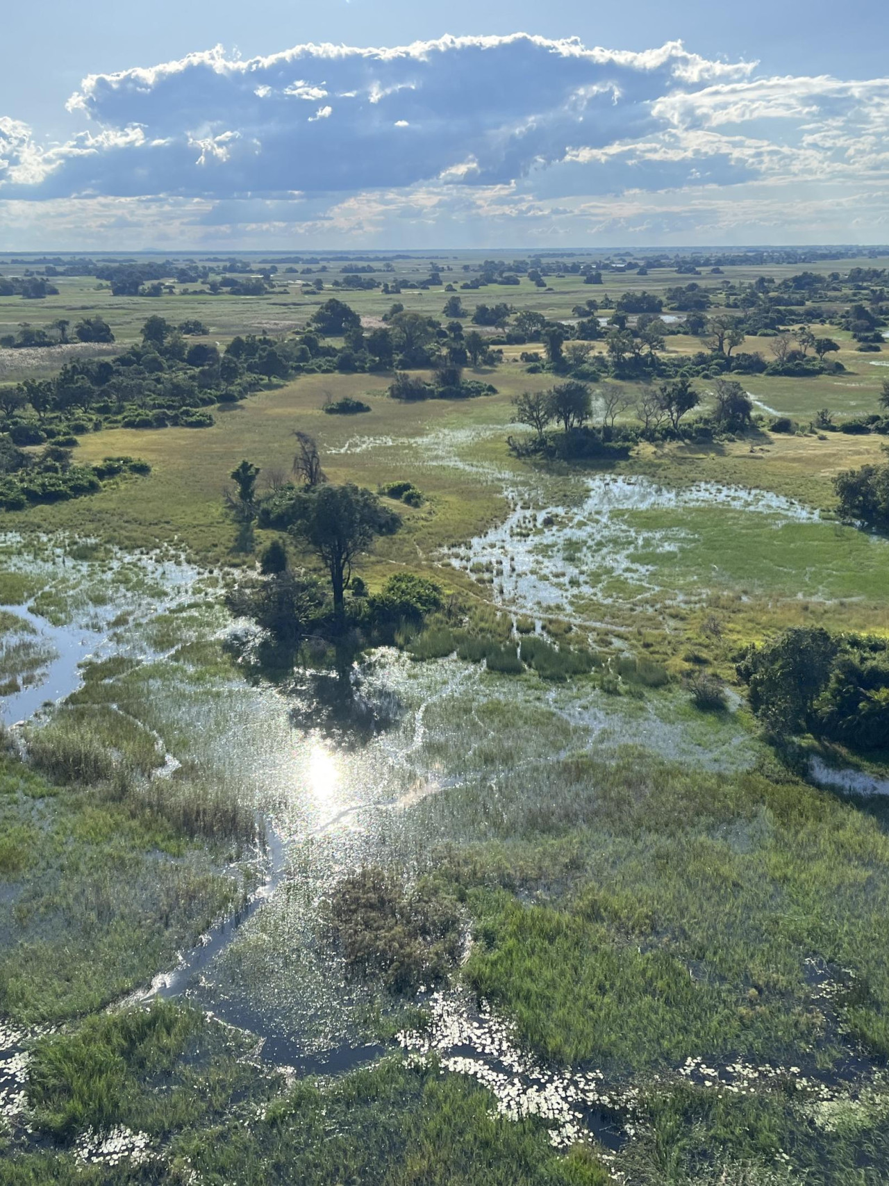 Okavango Delta aus der Adler-Perspektive