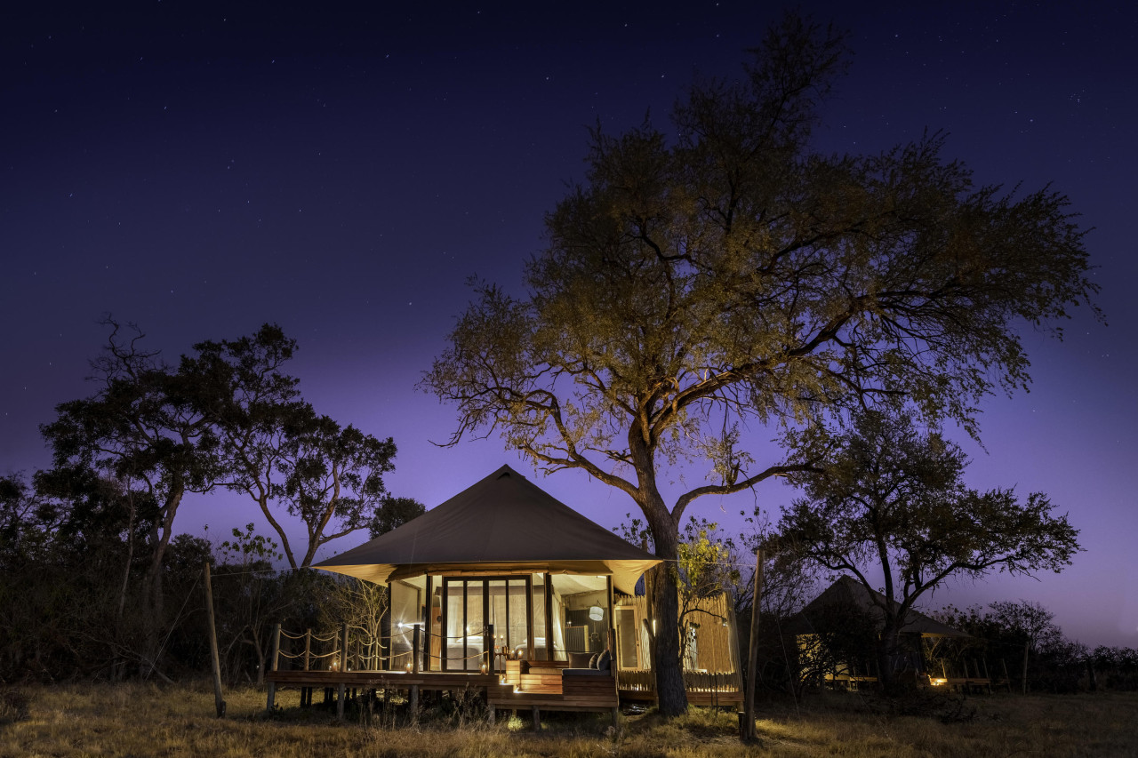 Safari-Abenteuer im unberührten Reservat