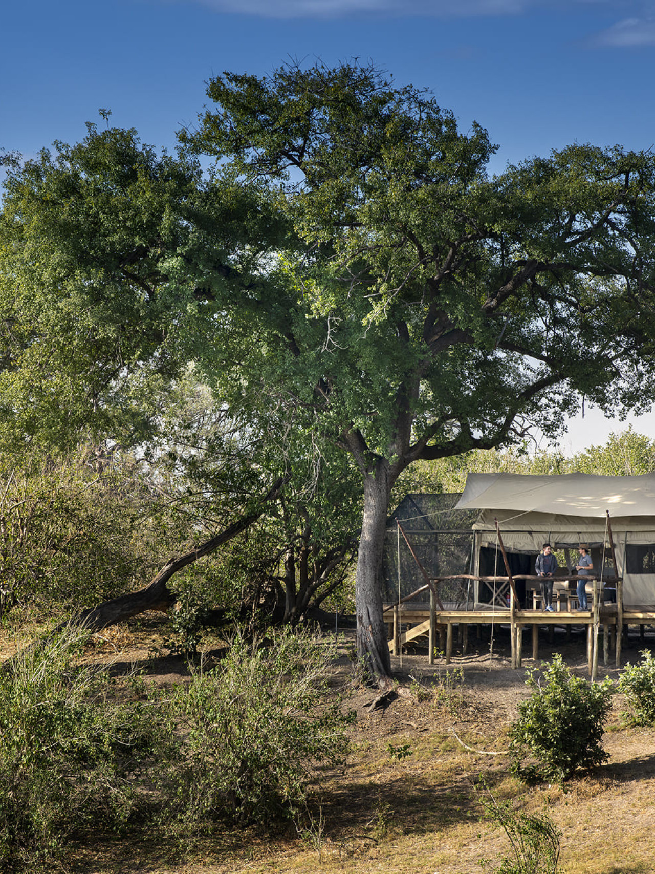 Nur sechs Zelte mit absoluter Privatsphäre