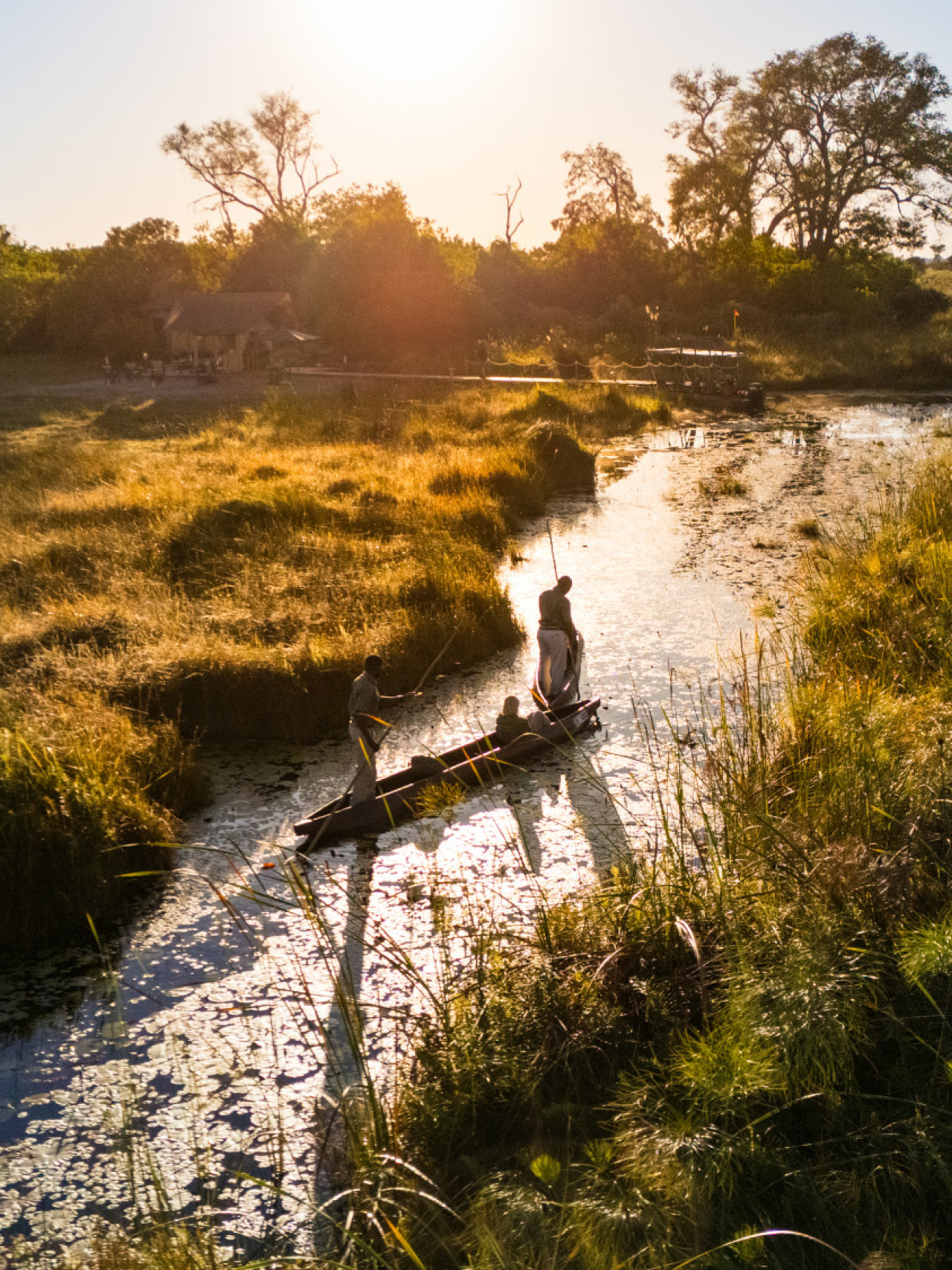 Mit einer ruhigen Mokorofahrt das Delta erkunden
