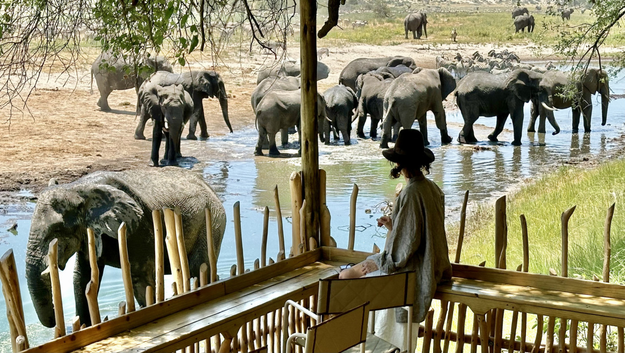 Elefantenherden ziehen an der Lodge vorbei