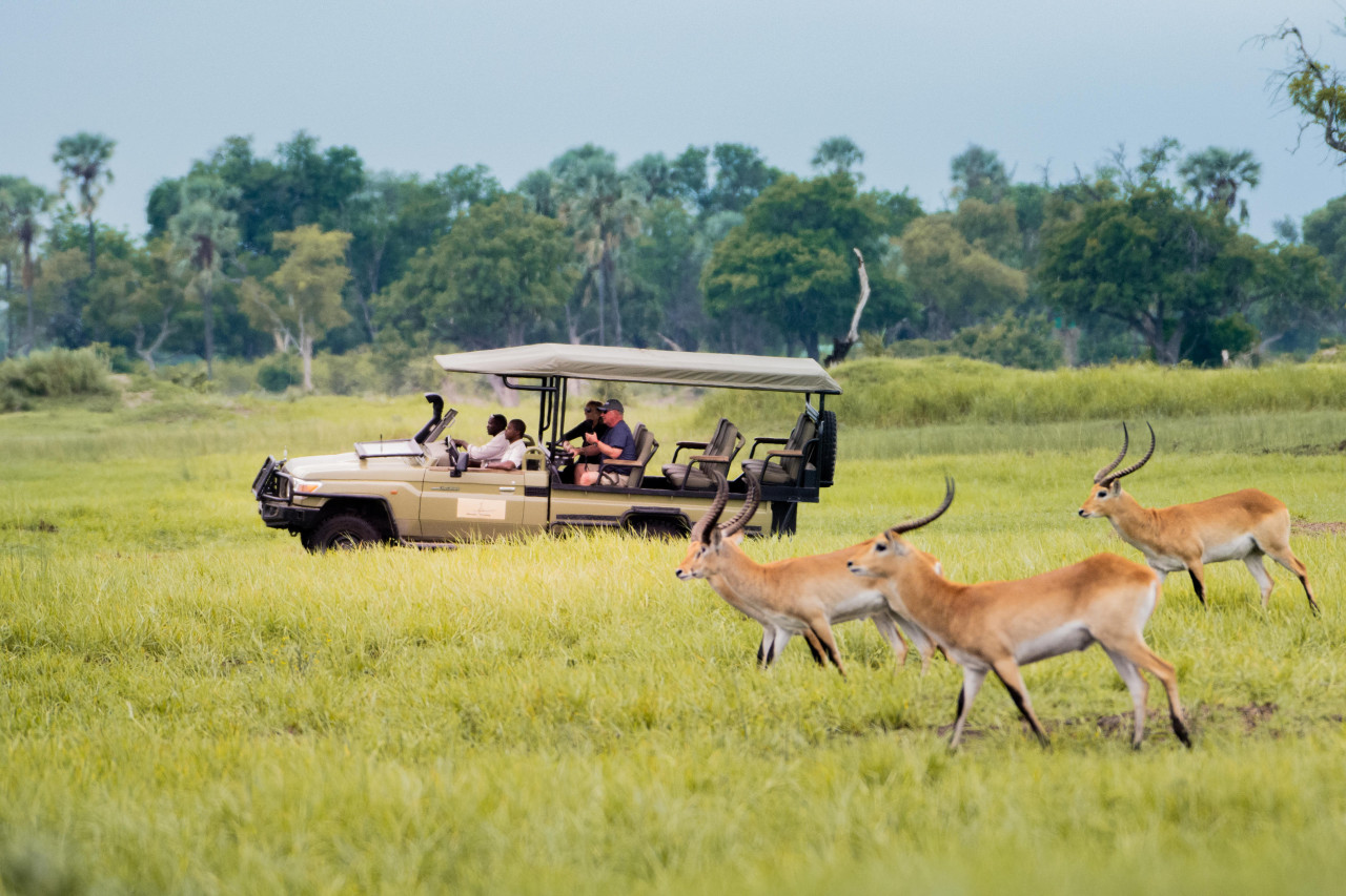 Erkunden Sie die Wildnis bei spannenden Pirschfahrten