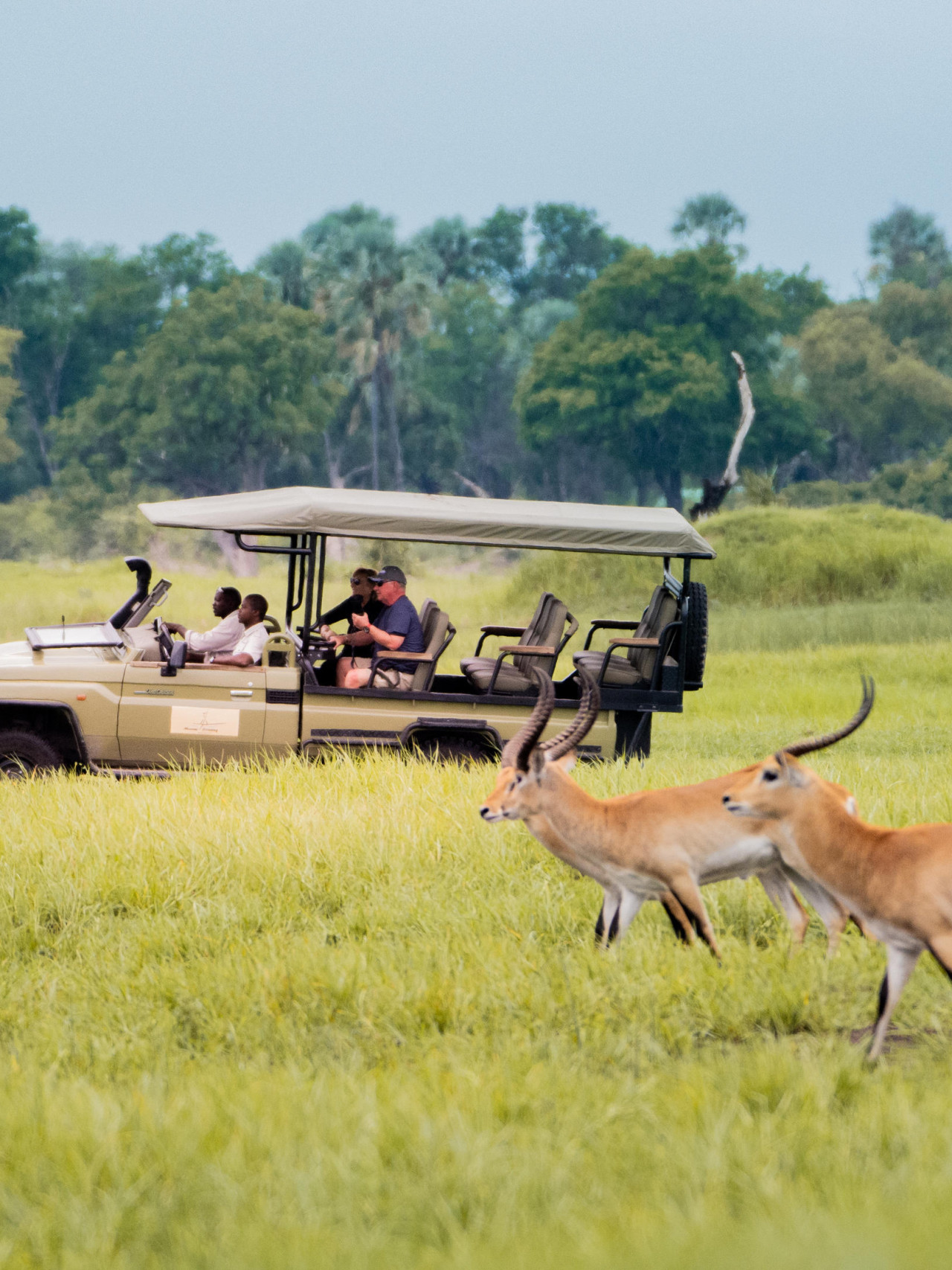 Erkunden Sie die Wildnis bei spannenden Pirschfahrten