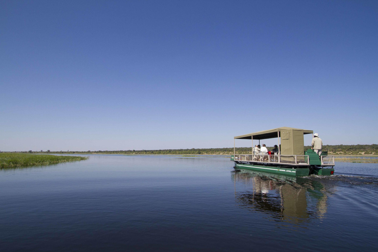 Bootsfahrt auf dem Chobe Fluss. Wo sind die Hippos?