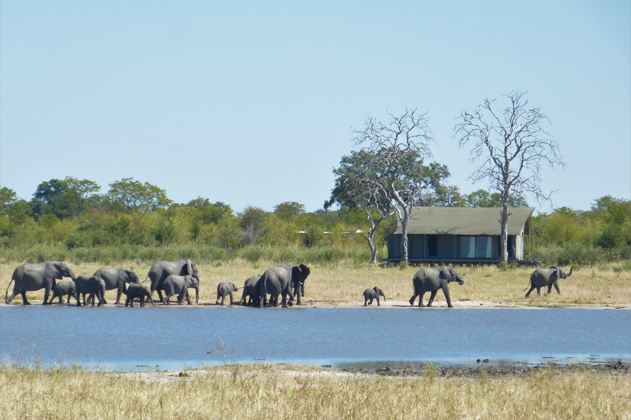 Abgelegen in der unberührten Natur des Chobe Parks