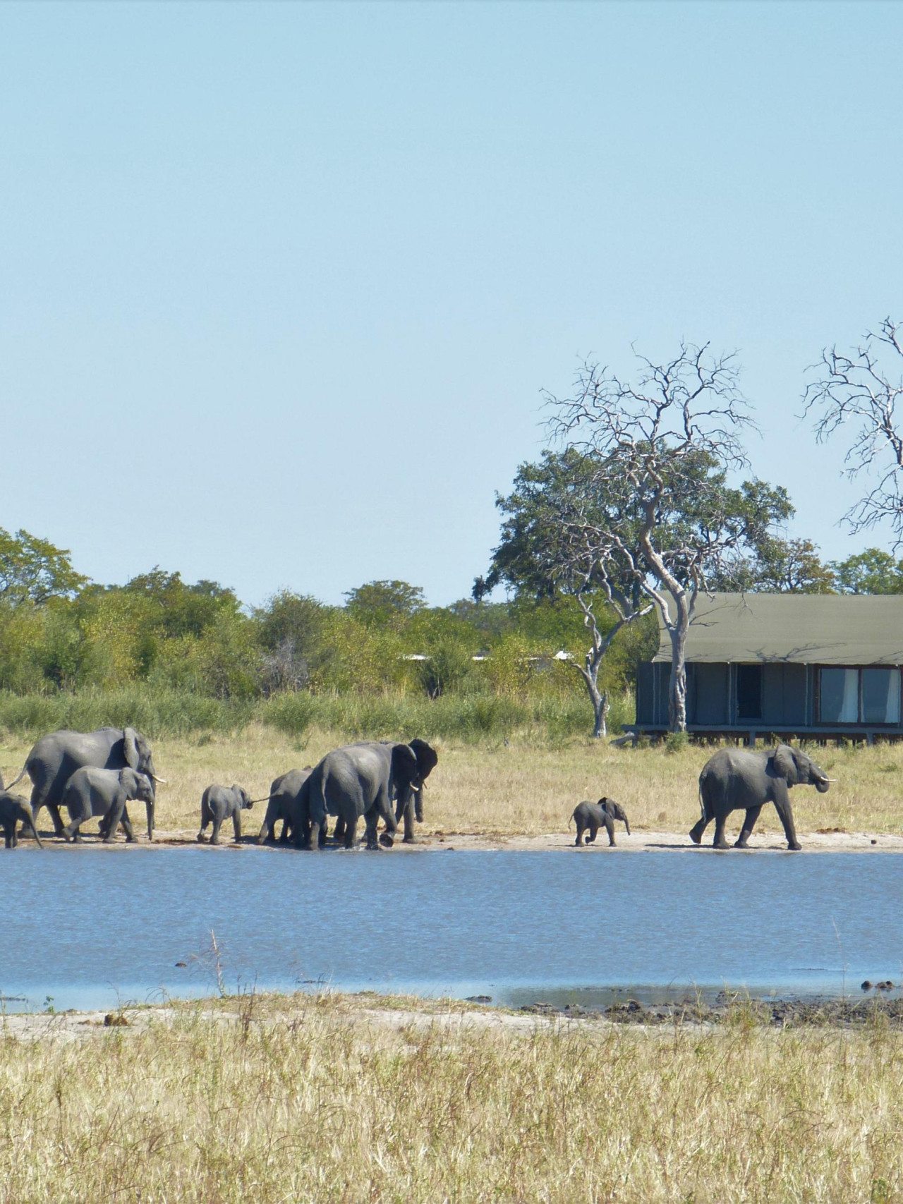 Abgelegen in der unberührten Natur des Chobe Parks