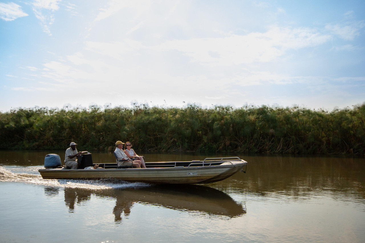 Während einer Bootssafari erleben Sie tolle Tierbeobachtungen