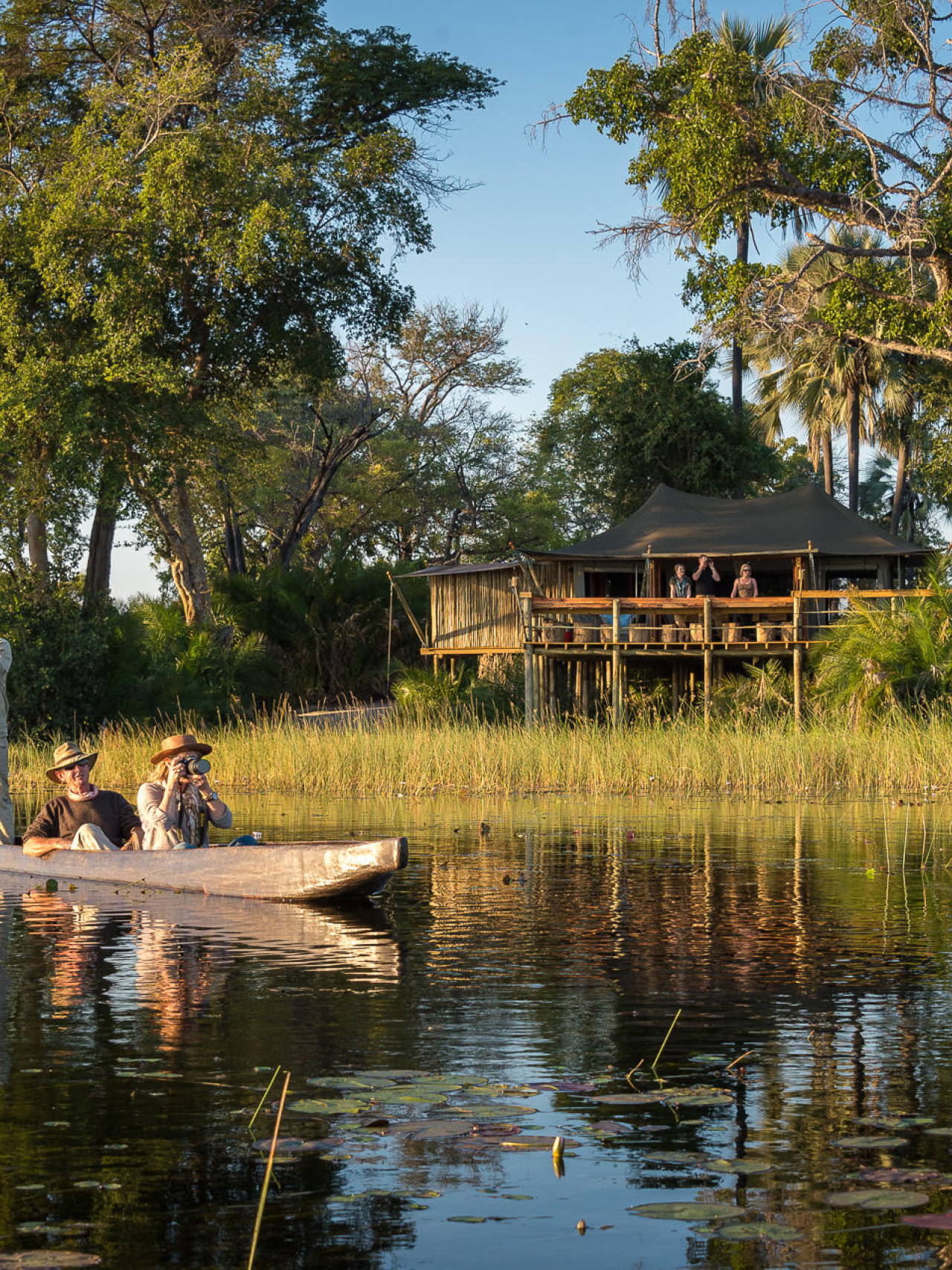 Perfekte Lage für eine Safari auf dem Wasser