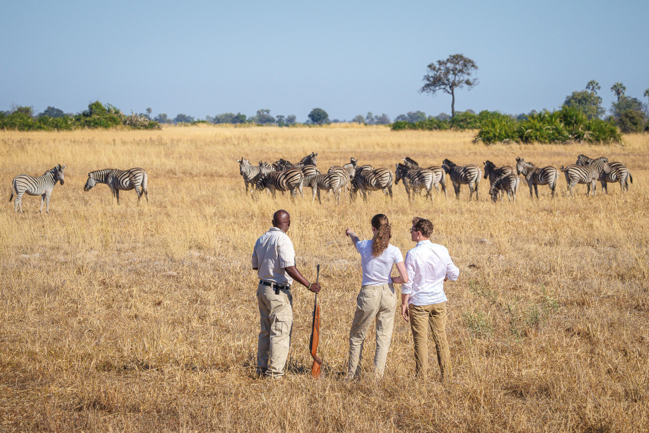 Begleitete Fußsafari zur Begegnung der Wildtiere