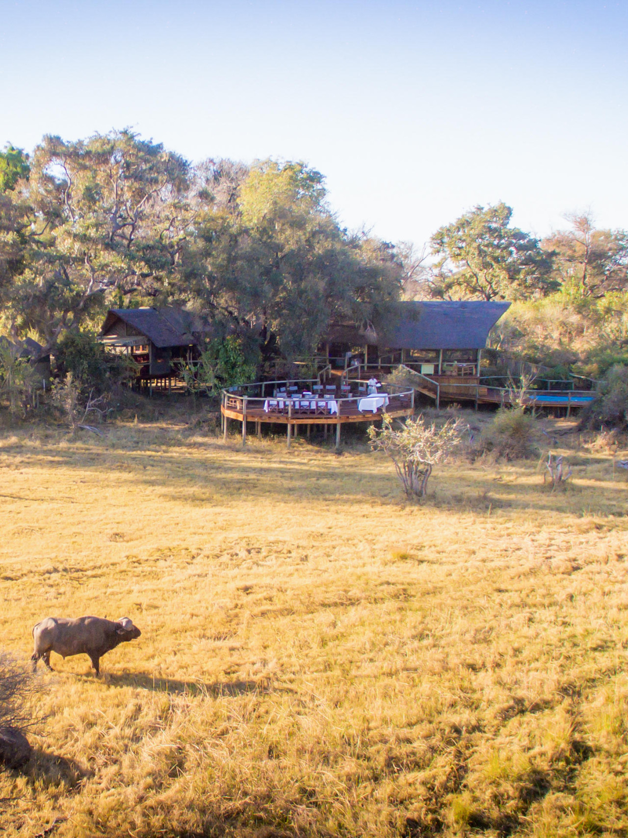 Authentisches Safari-Camp am Rande von Moremi