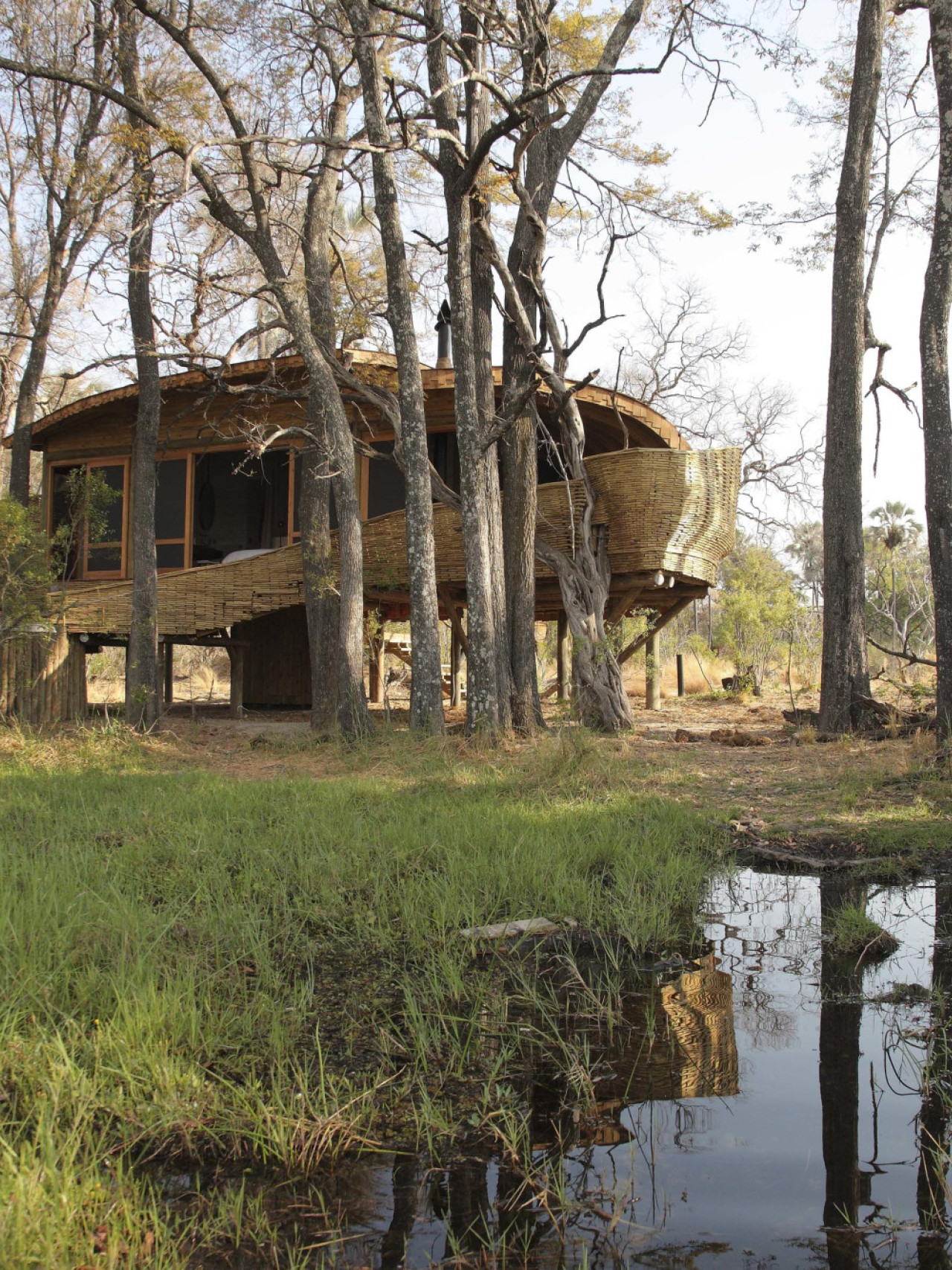 Organische Design verschmilzt mit dem umgebenden Wald