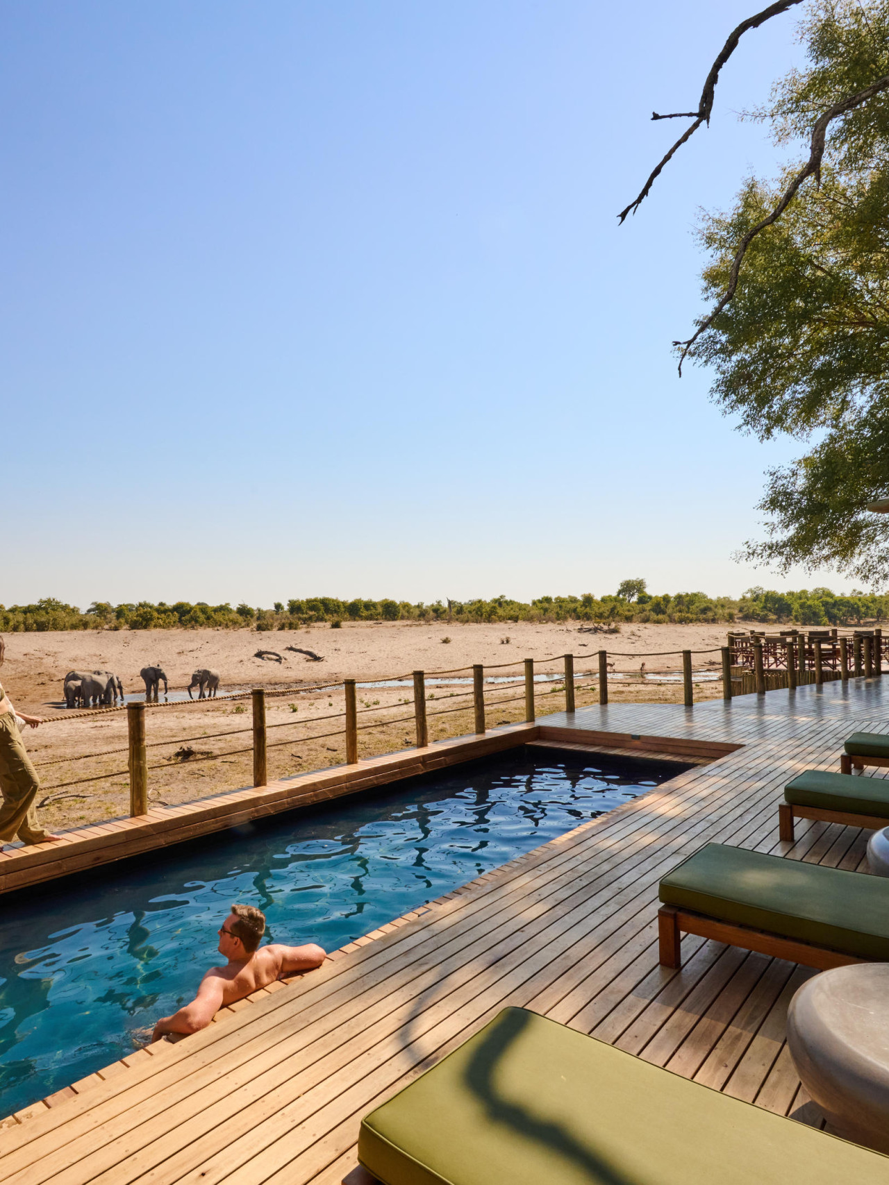 Entspannende Lodge mit Blick auf ein Wasserloch
