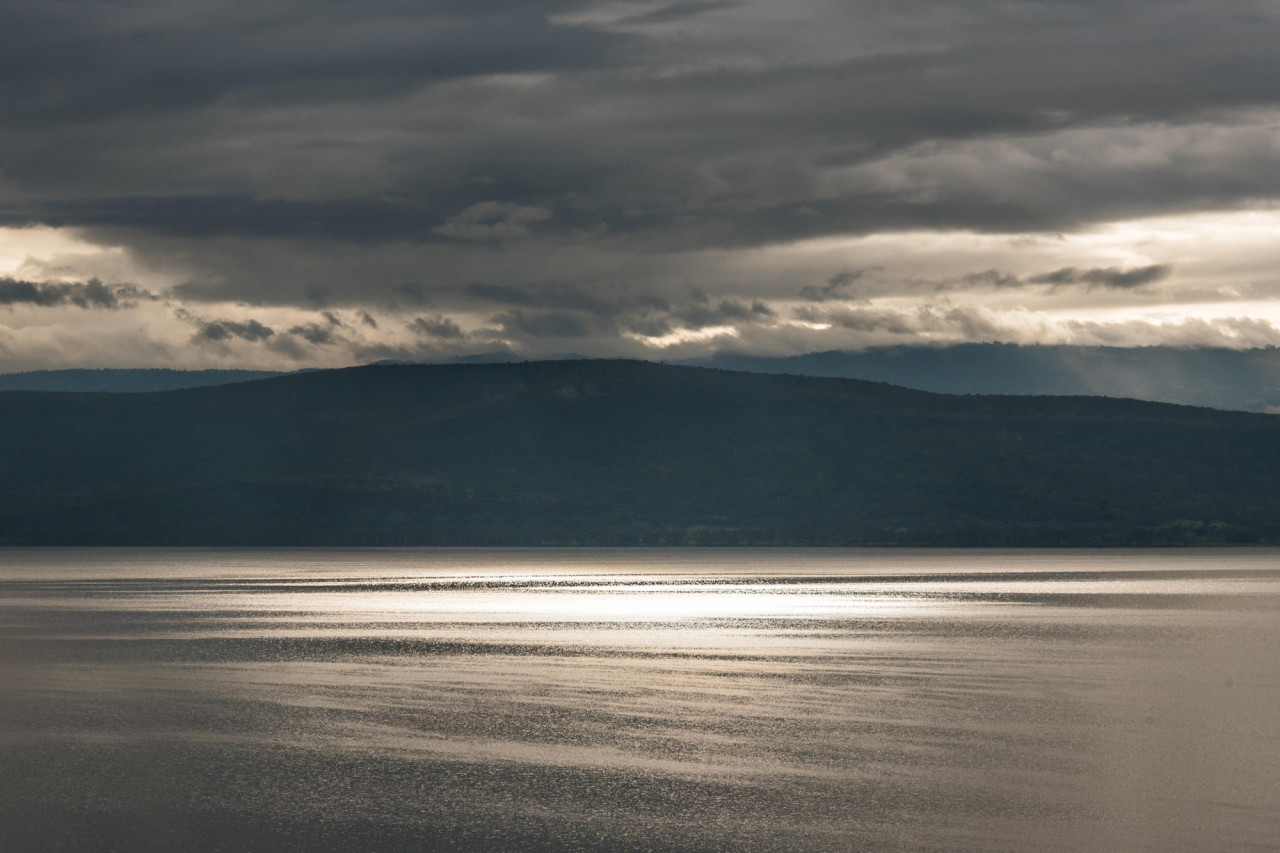 Erleben Sie Pirsch- oder Bootsfahrten am herrlichen See