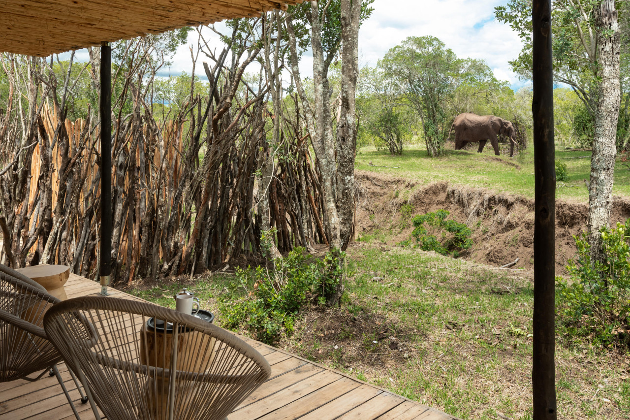 Mit etwas Glück Tierbeobachtung von der Veranda