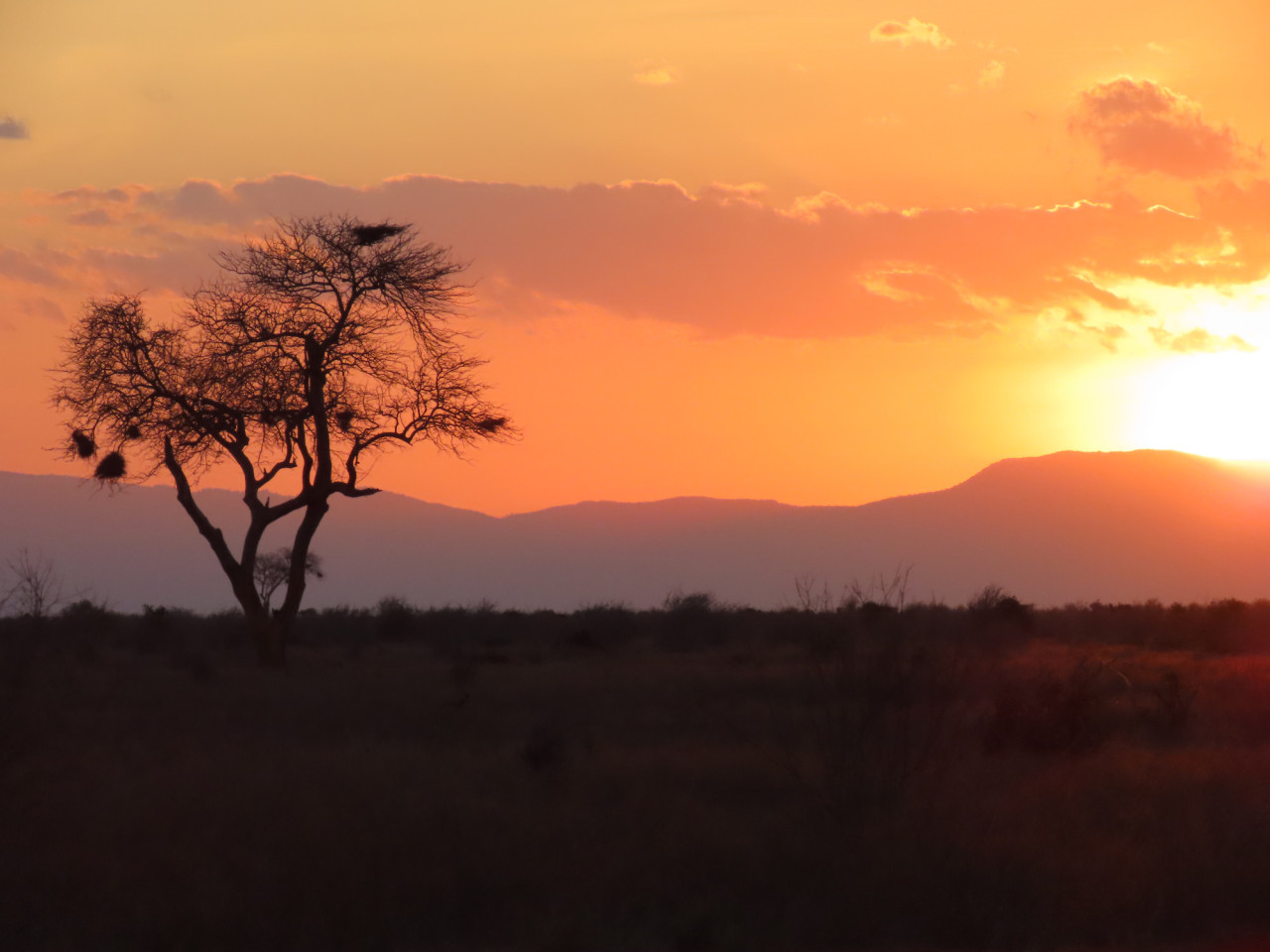 Romantischer Sonnenuntergang in Tsavo