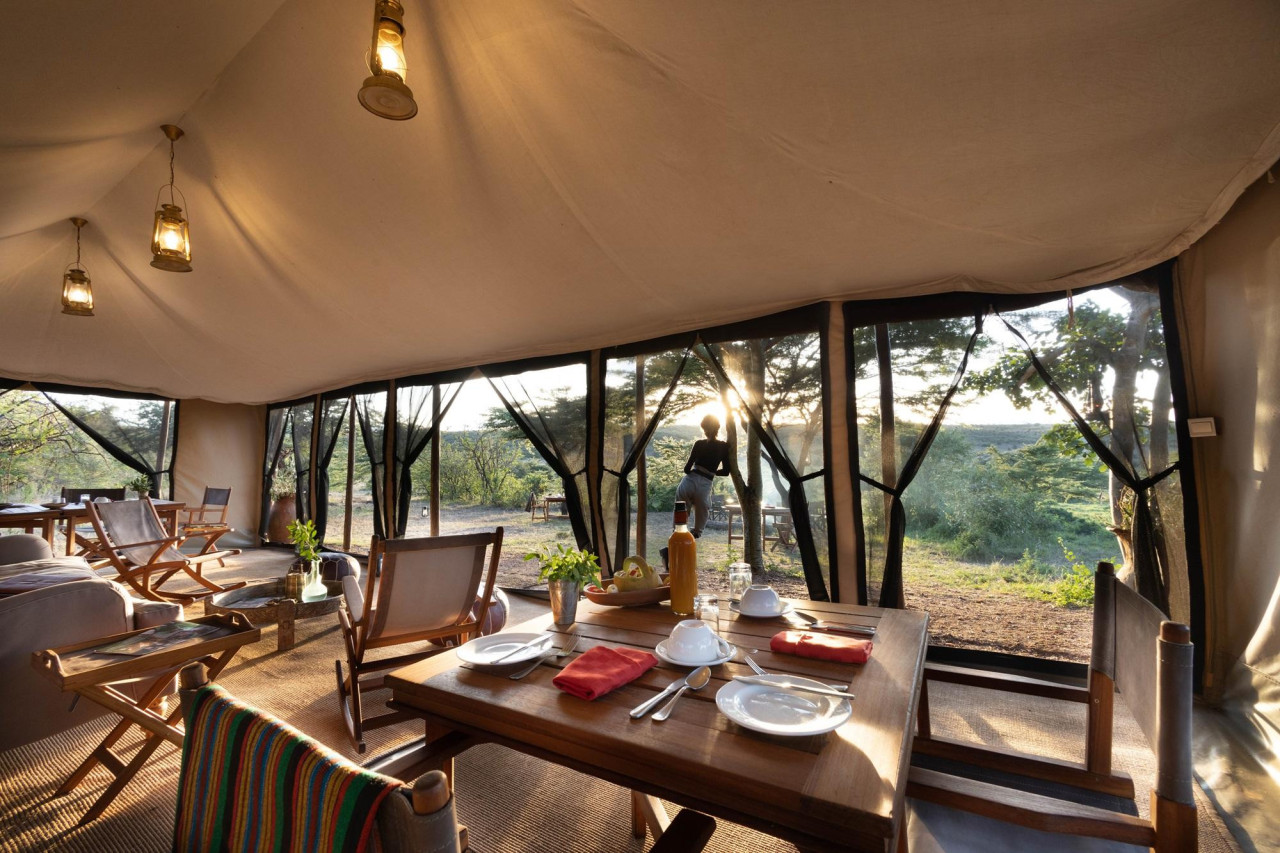 Essbereich für hervorragende Safari-Speisen