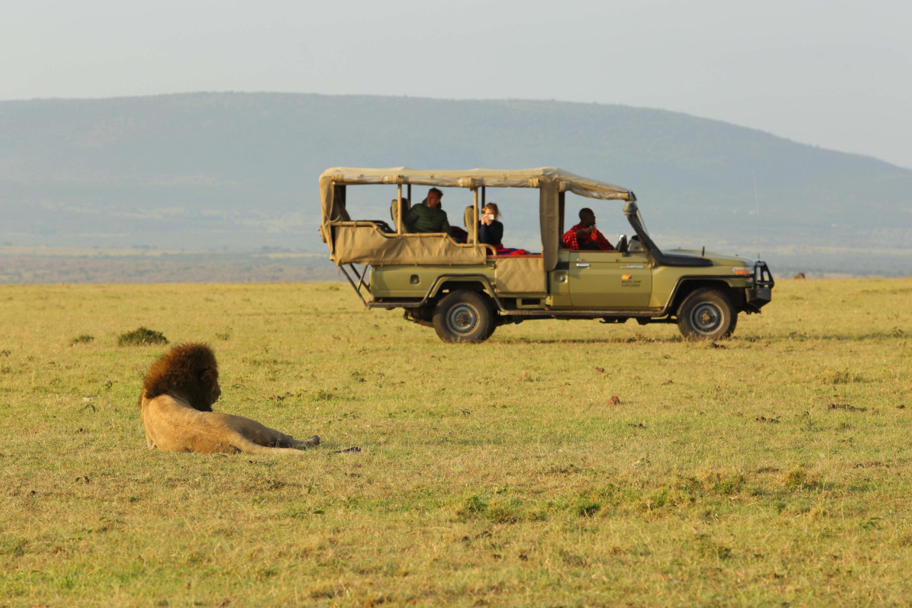 Erleben SIe unvergessliche Pirschfahrten