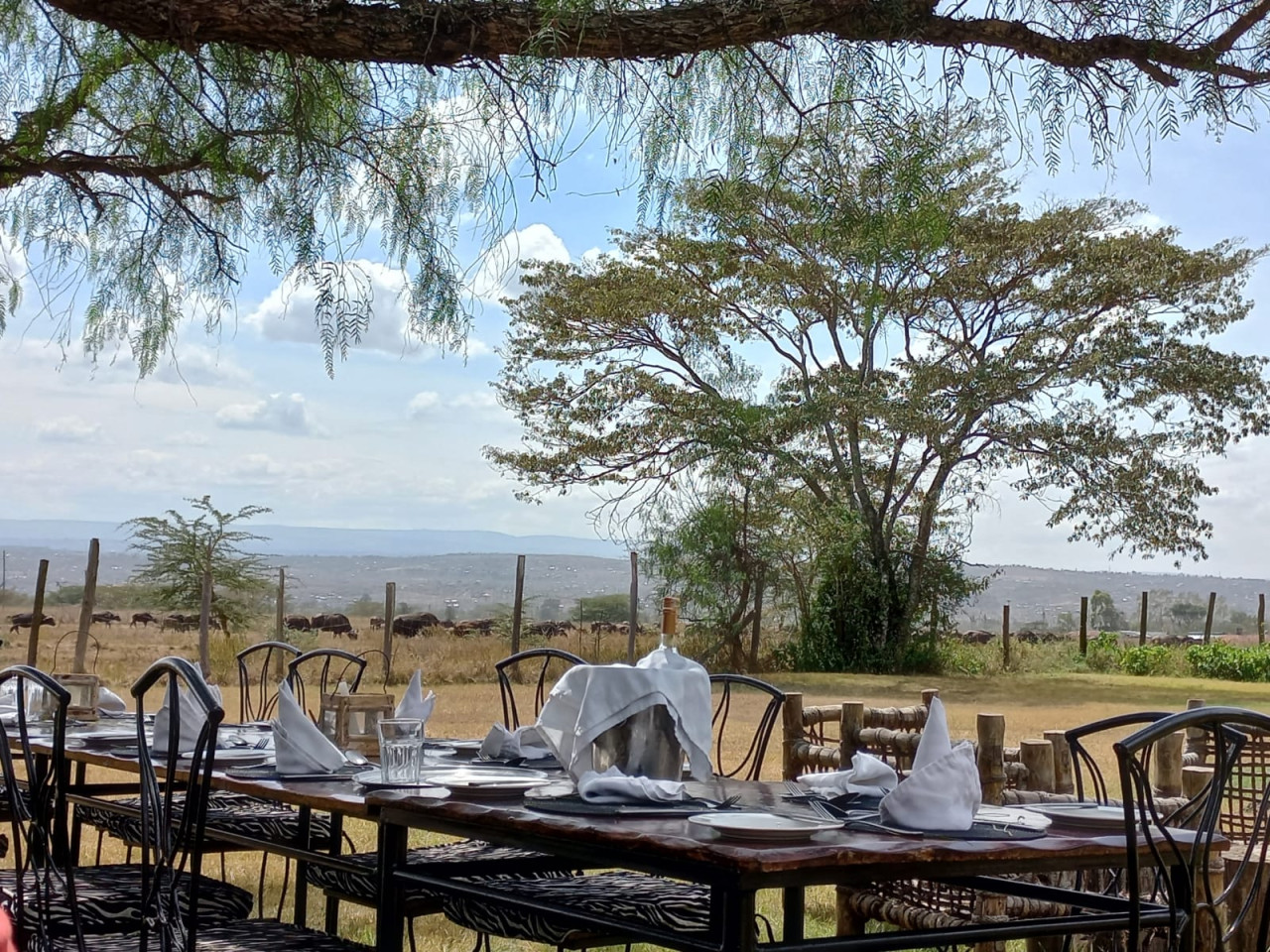 Mittag- und Abendessen unter freiem Himmel