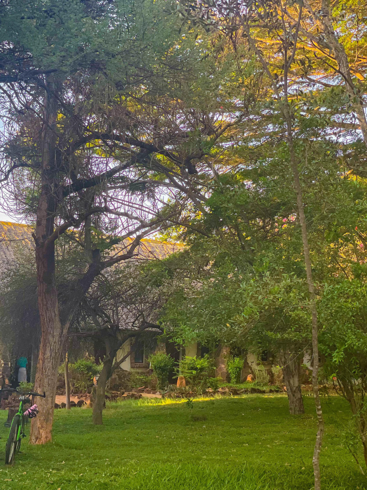 Gebaut mit natürlichen Materialien aus der Umgebung