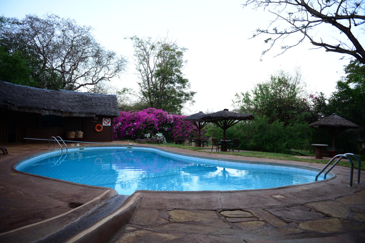 Erfrischung mit einem Sprung in den Pool