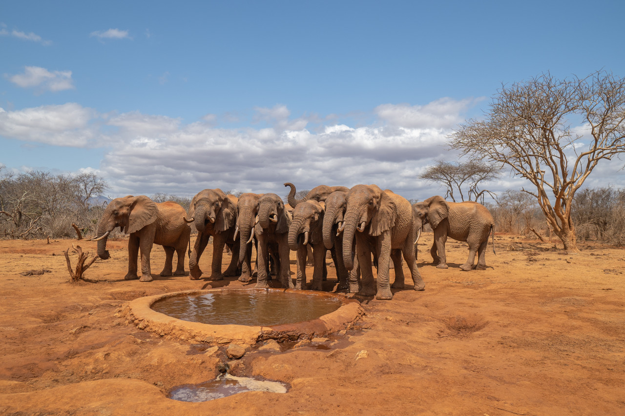 Das Wasserloch am Camp lockt viele Wildtiere an
