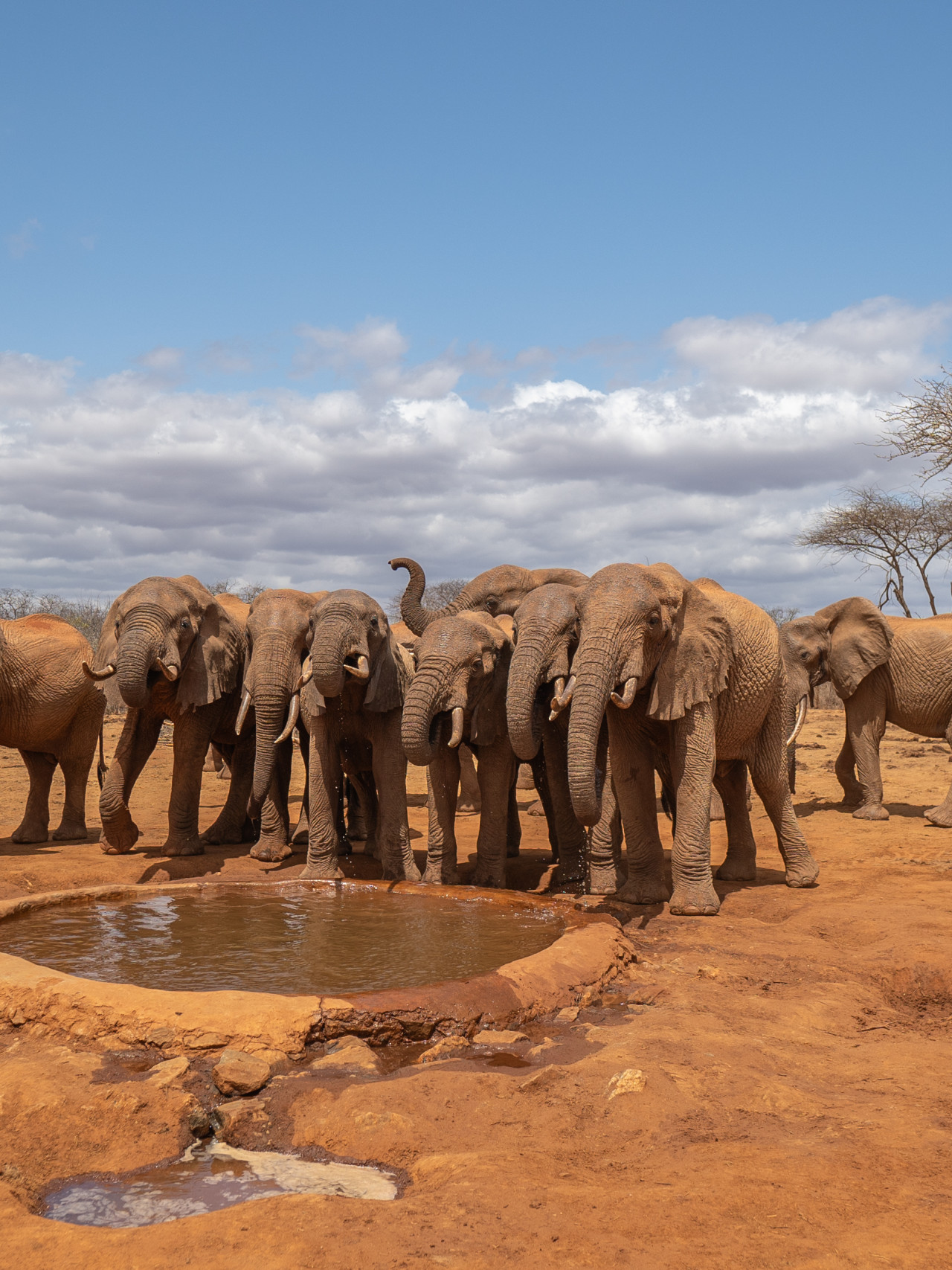 Das Wasserloch am Camp lockt viele Wildtiere an