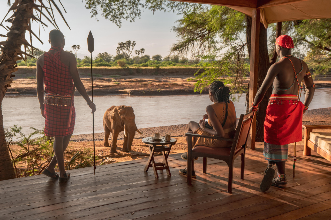 Neugieriger Elefant überquerte den Fluss Ewaso Nyiro