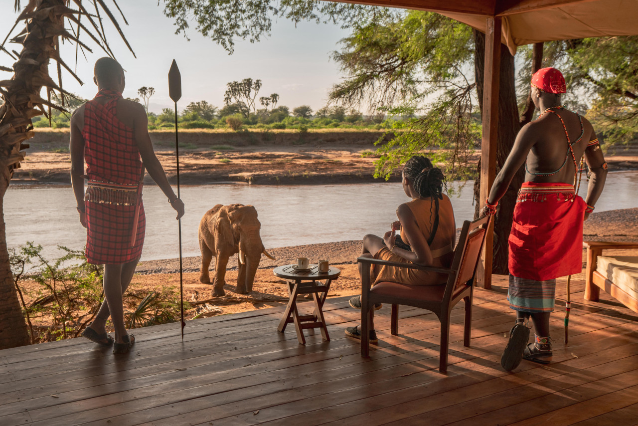 Neugieriger Elefant überquerte den Fluss Ewaso Nyiro