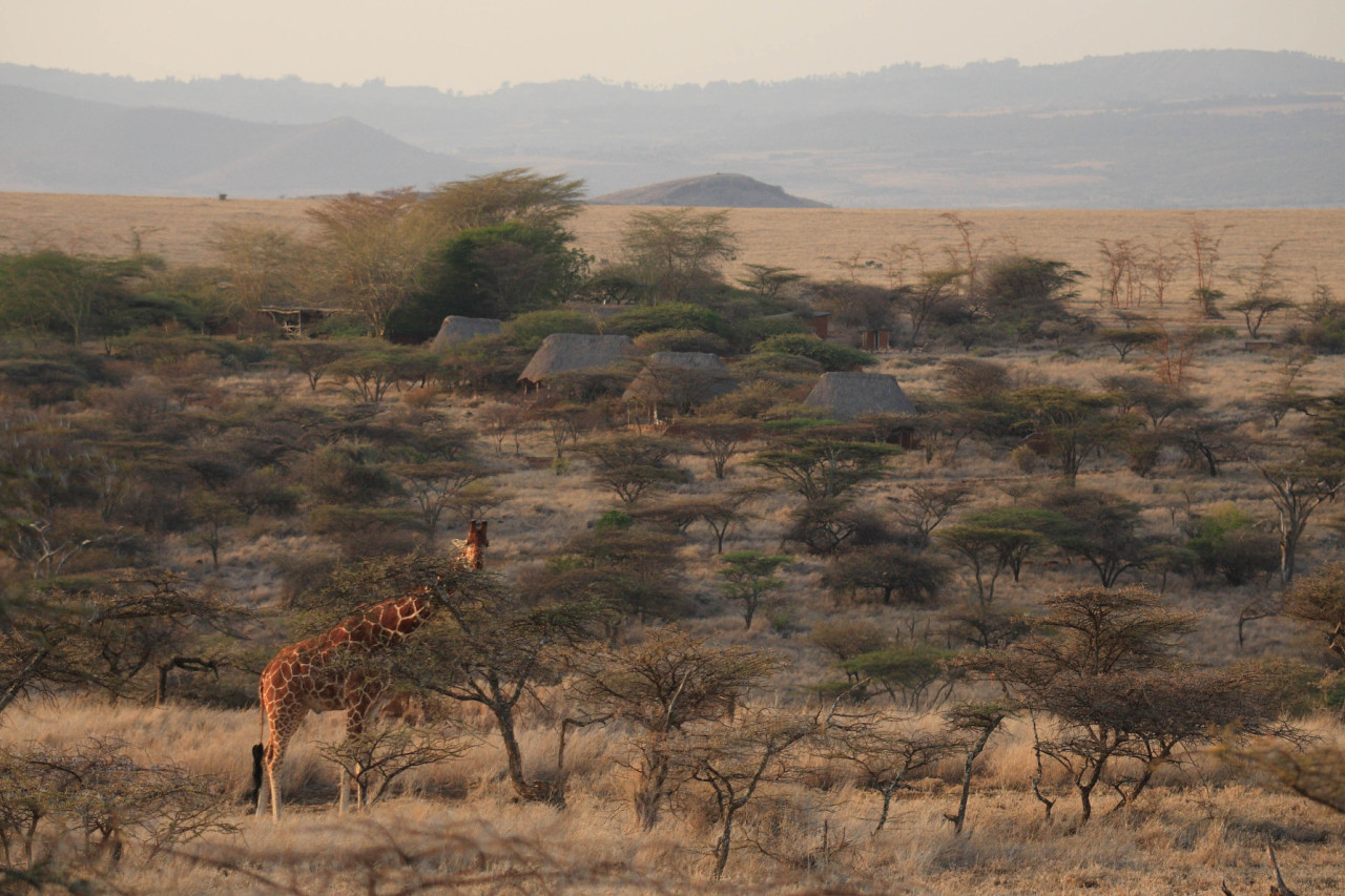 Luxuriöses Camp an den sanften Ebenen des Mt Kenias