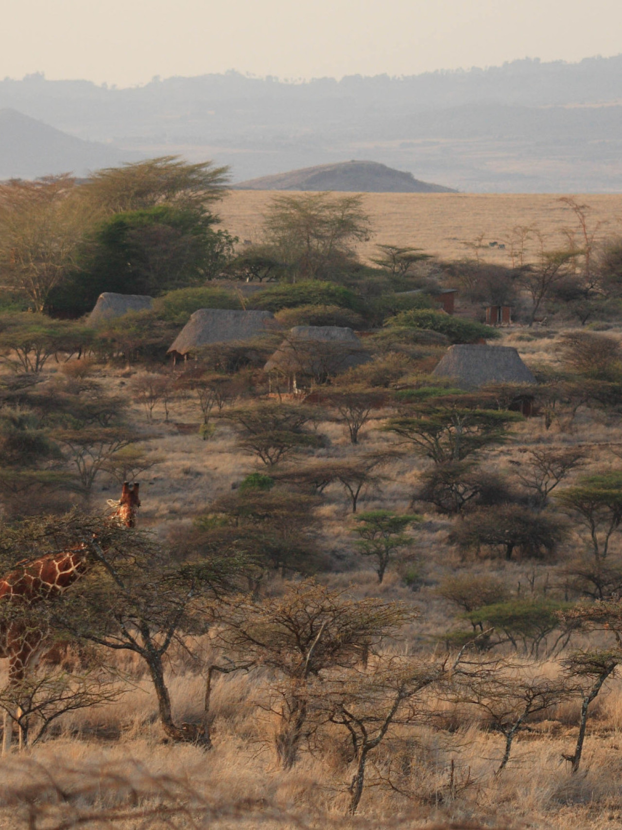 Luxuriöses Camp an den sanften Ebenen des Mt Kenias