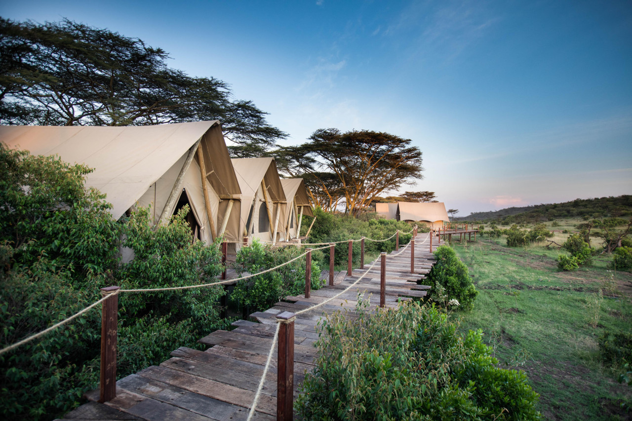 Perfekter Ort in Naboisho für eine Luxussafari in Kenia.