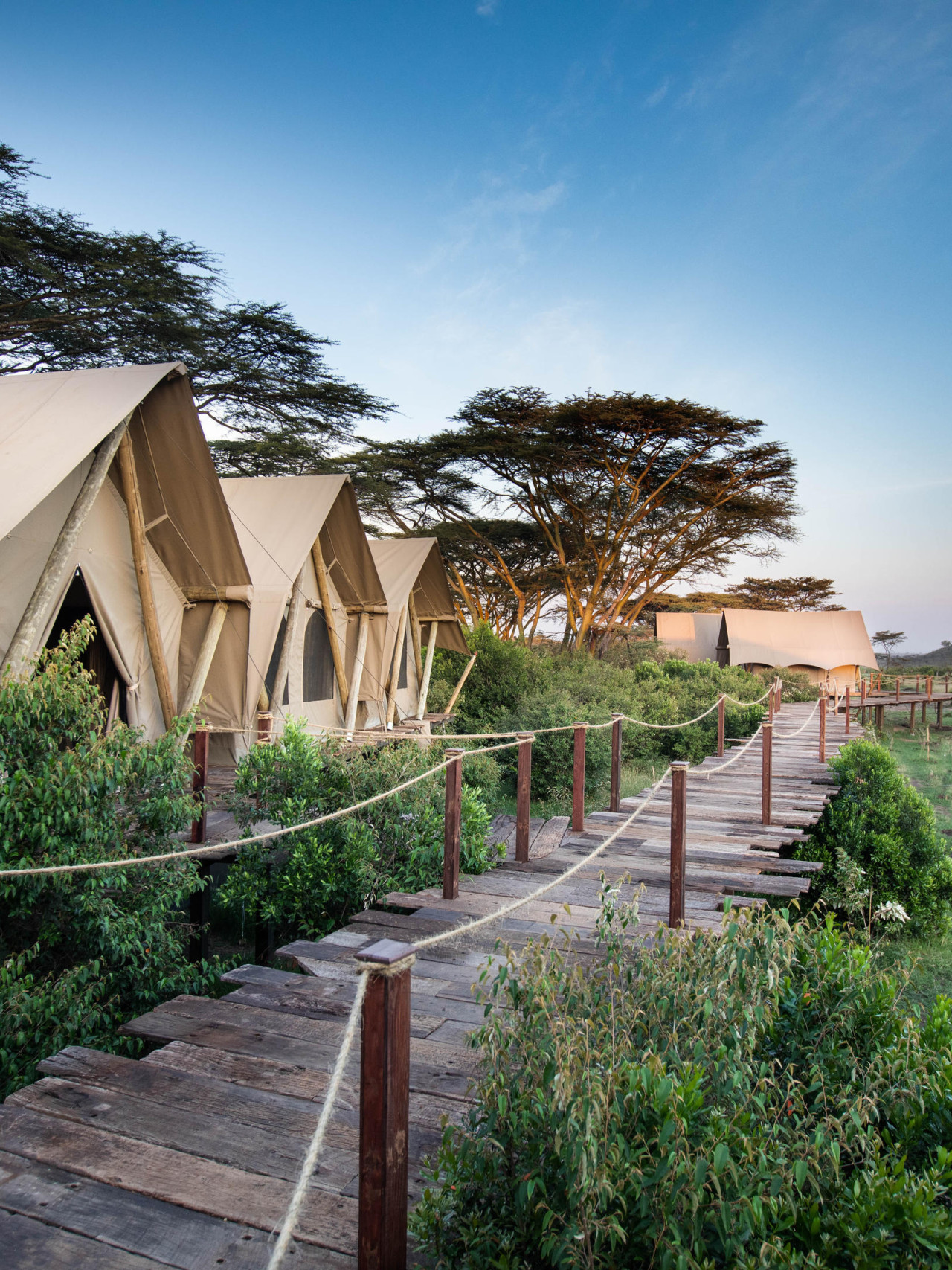 Perfekter Ort in Naboisho für eine Luxussafari in Kenia.