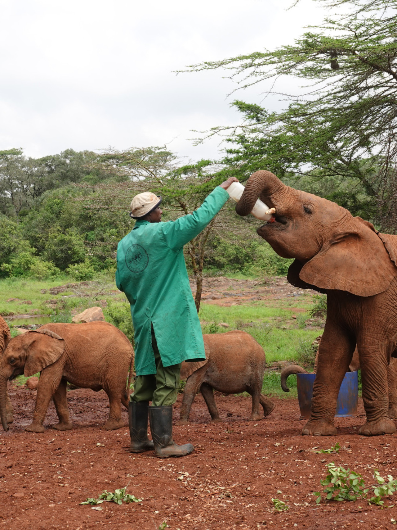 Spannender Besuch des Elefantenwaisenhauses