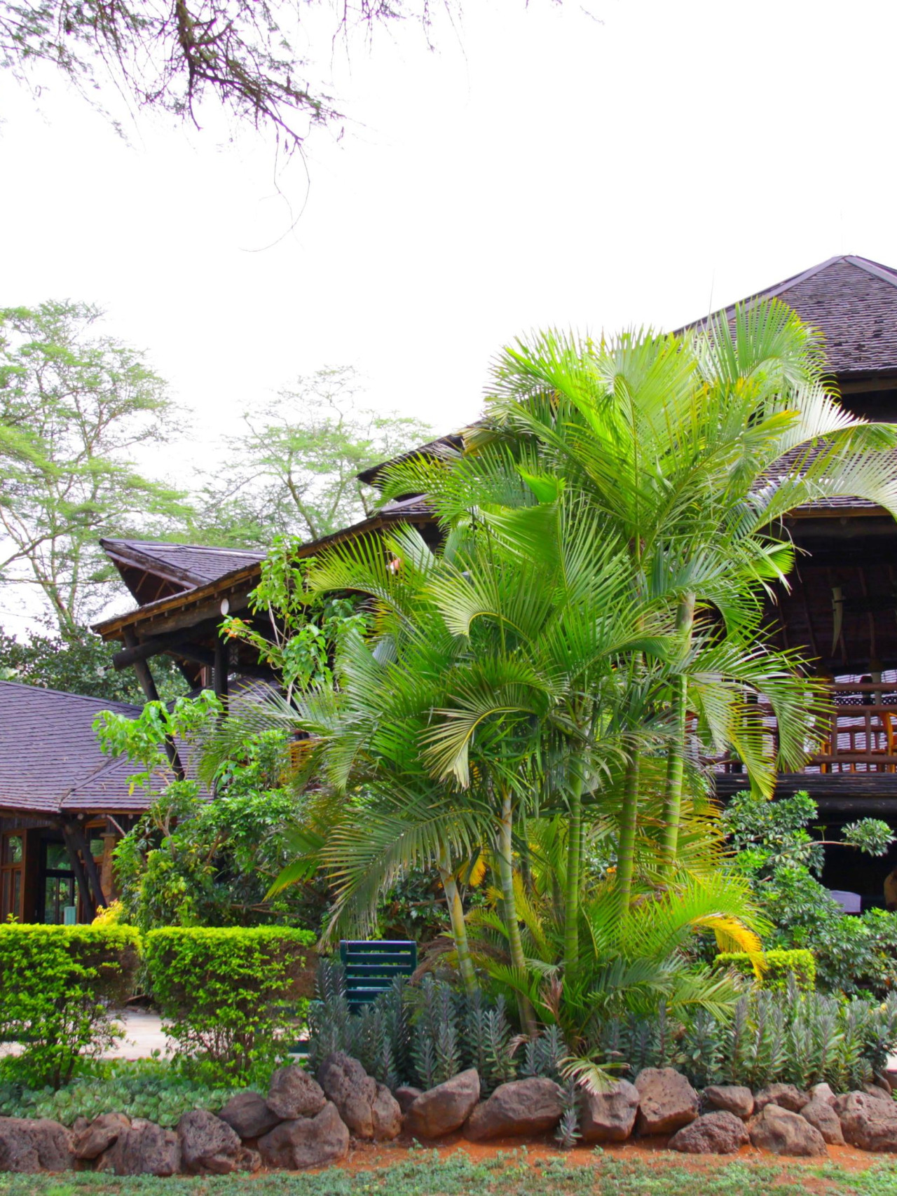 Die Ol Tukai Lodge liegt am Fuße des Kilimanjaros