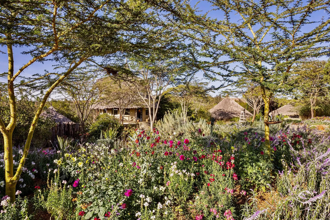 Mount Kenyas verborgenes Juwel