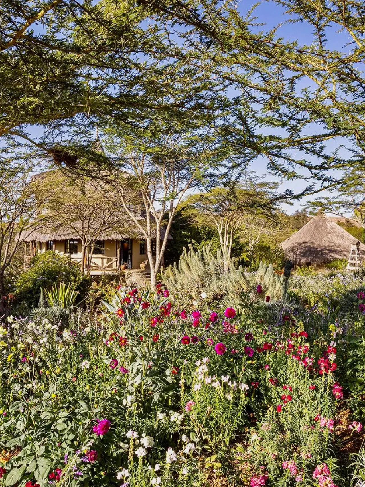 Mount Kenyas verborgenes Juwel