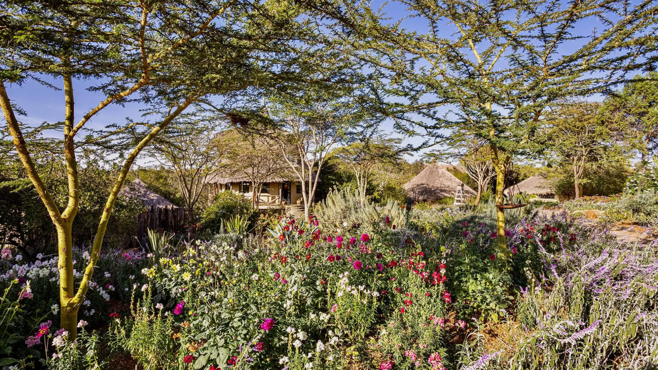 Mount Kenyas verborgenes Juwel