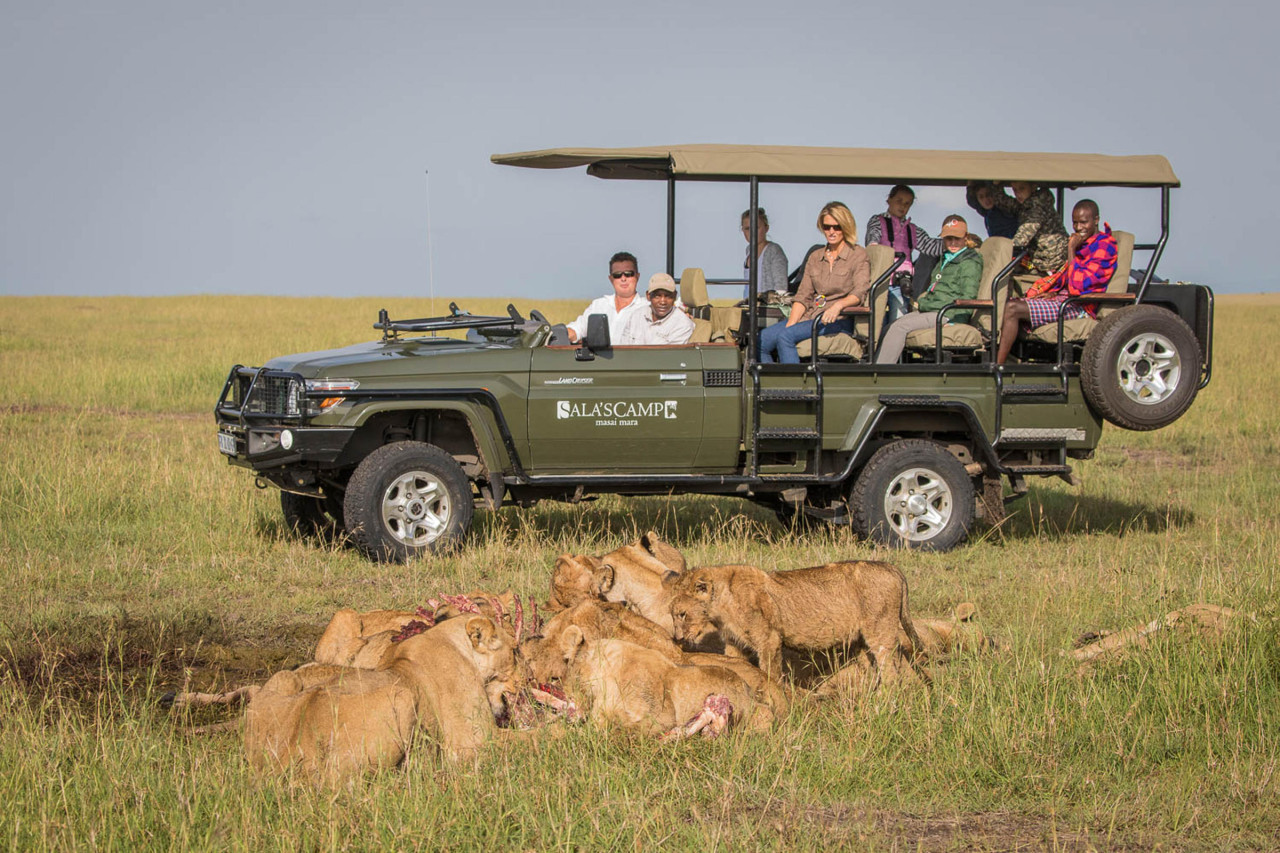 Professionelle Guides zeigen Ihnen das echte Afrika