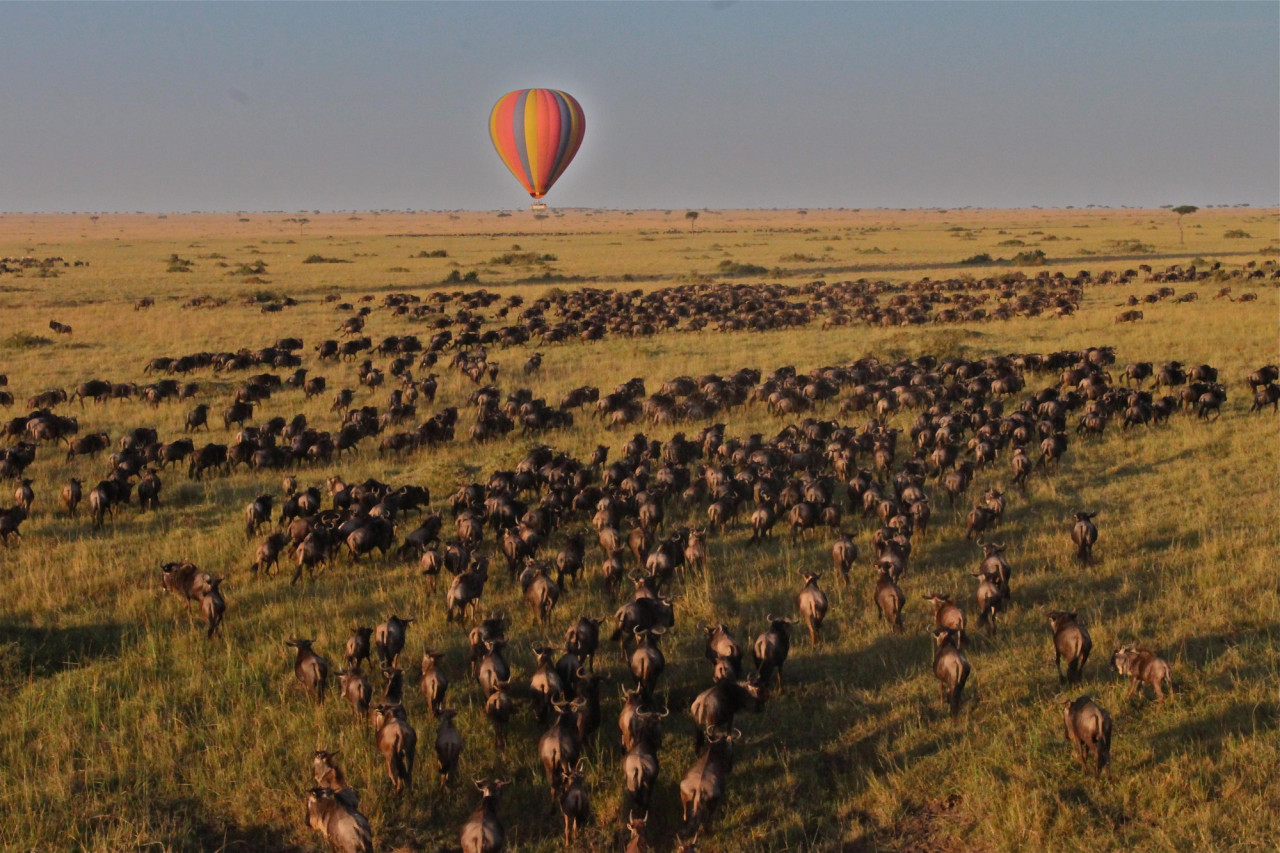 Erleben Sie optional eine Ballonfahrt über die Mara