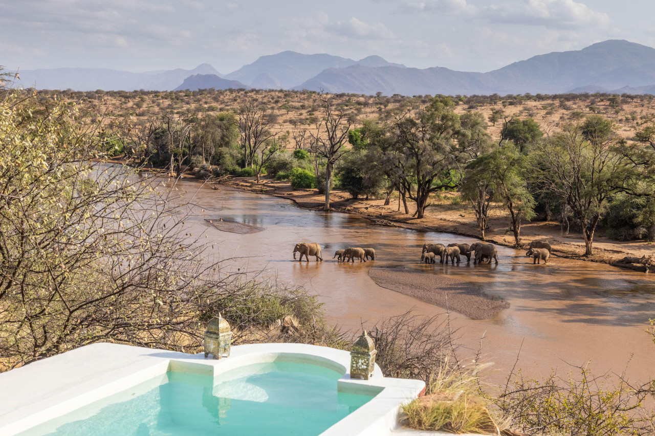 Täglich sind Elefanten zu beobachten, die den Fluss überqueren