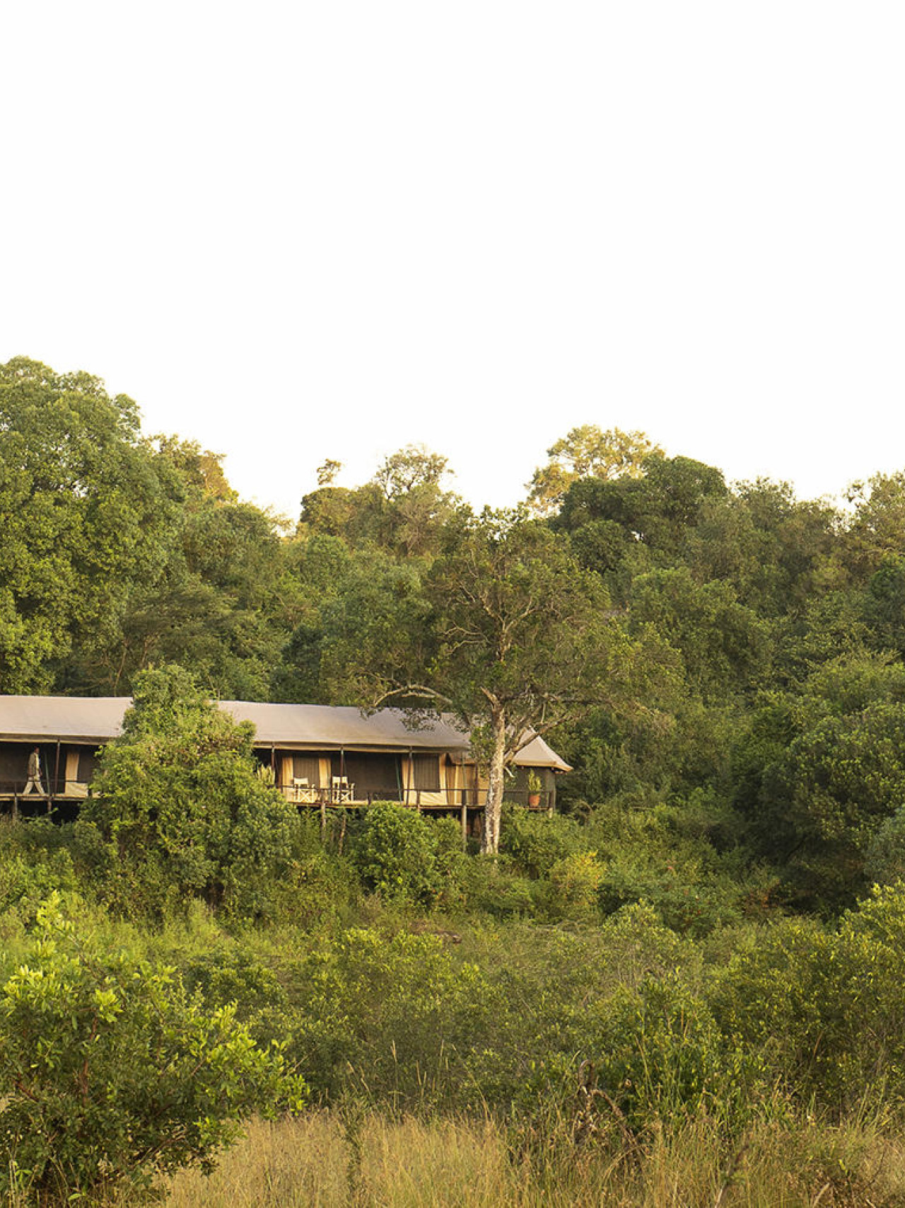 Klassisches Safari-Camp in der nördlichen Masai Mara