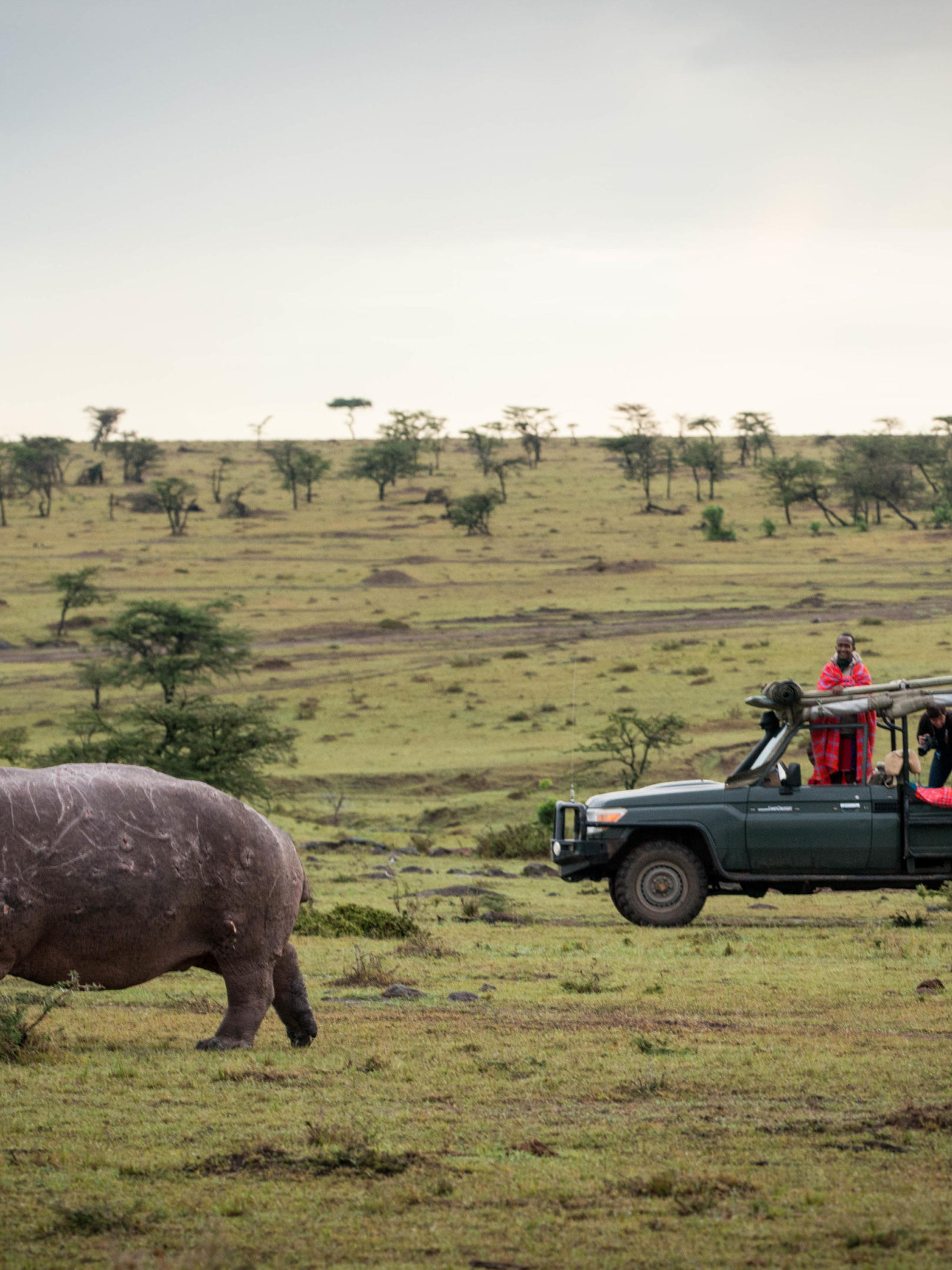 Exklusive Nutzung eines Safarifahrzeugs