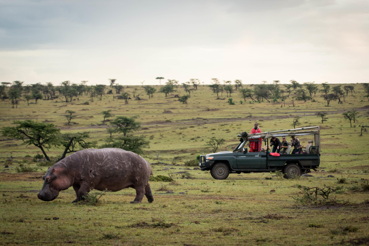Exklusive Nutzung eines Safarifahrzeugs