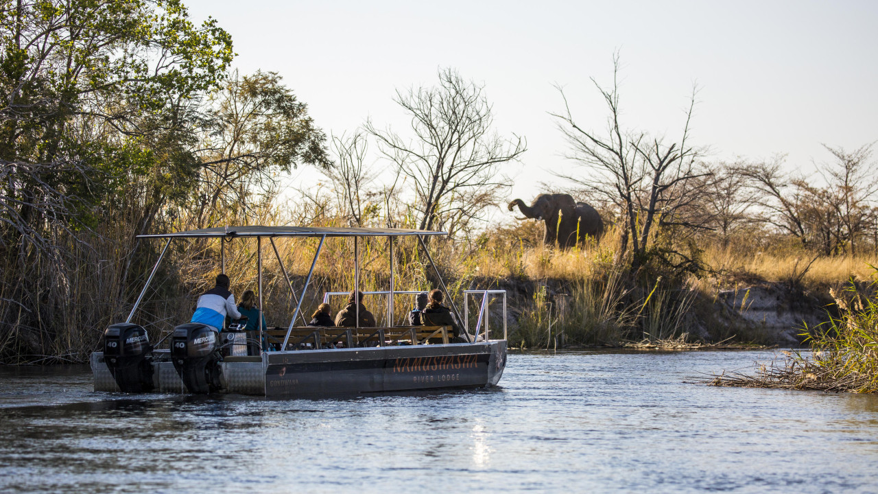 Spannende Wildtierbeobachtung vom Boot