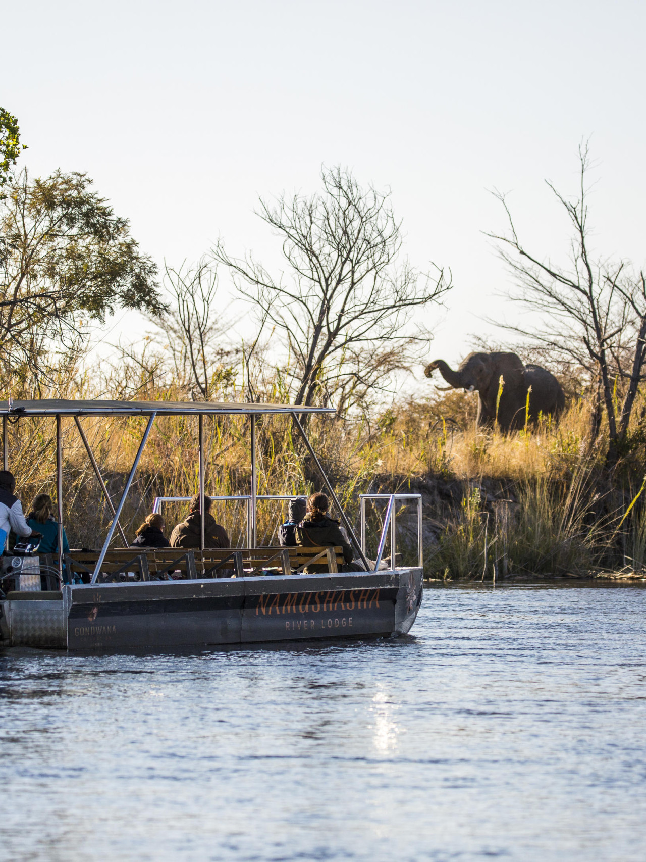 Spannende Wildtierbeobachtung vom Boot