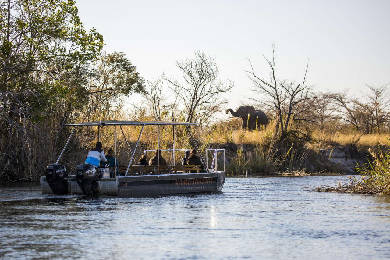 Spannende Wildtierbeobachtung vom Boot