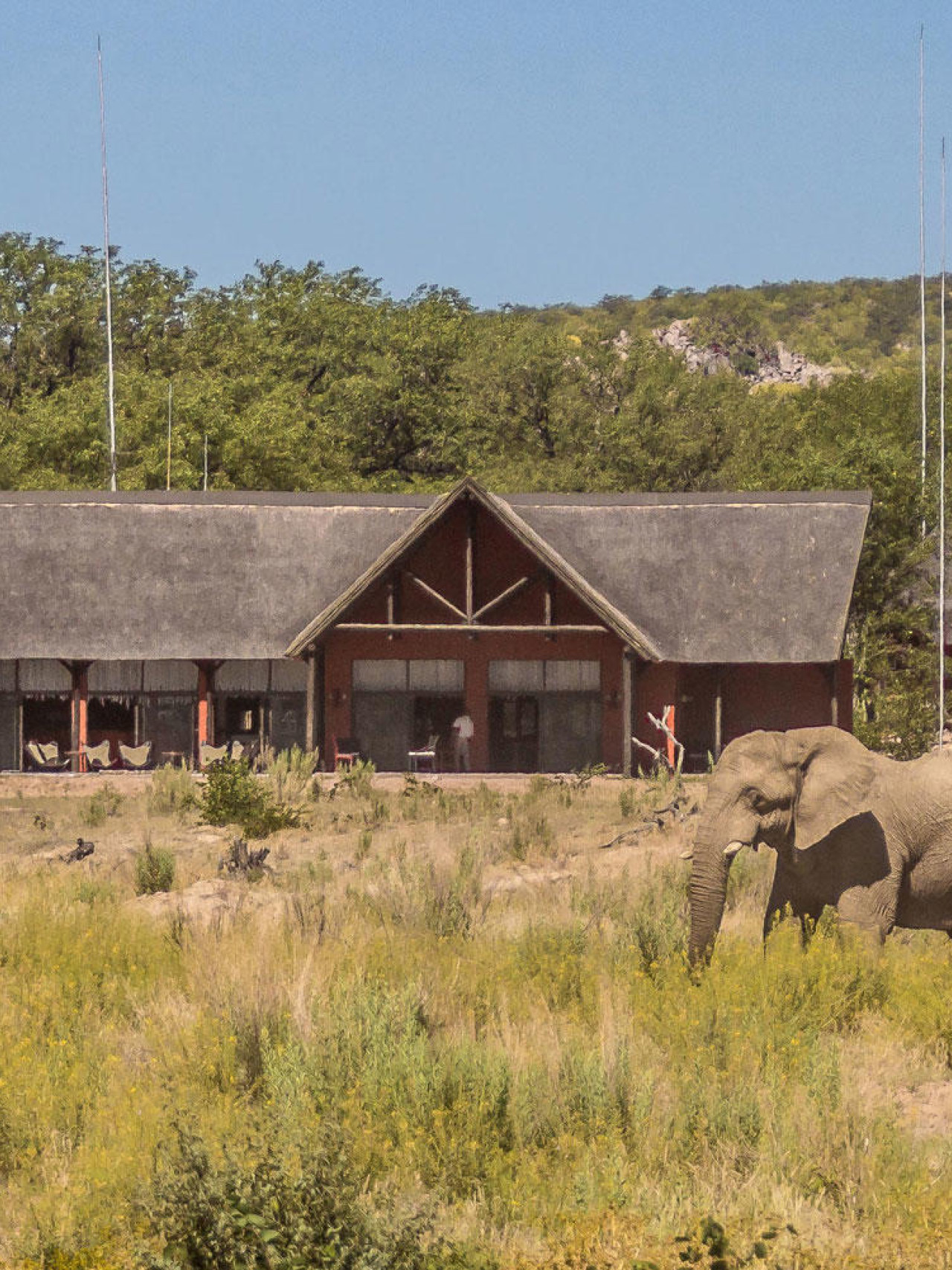 Komfortable Lodge in idyllischer Umgebung