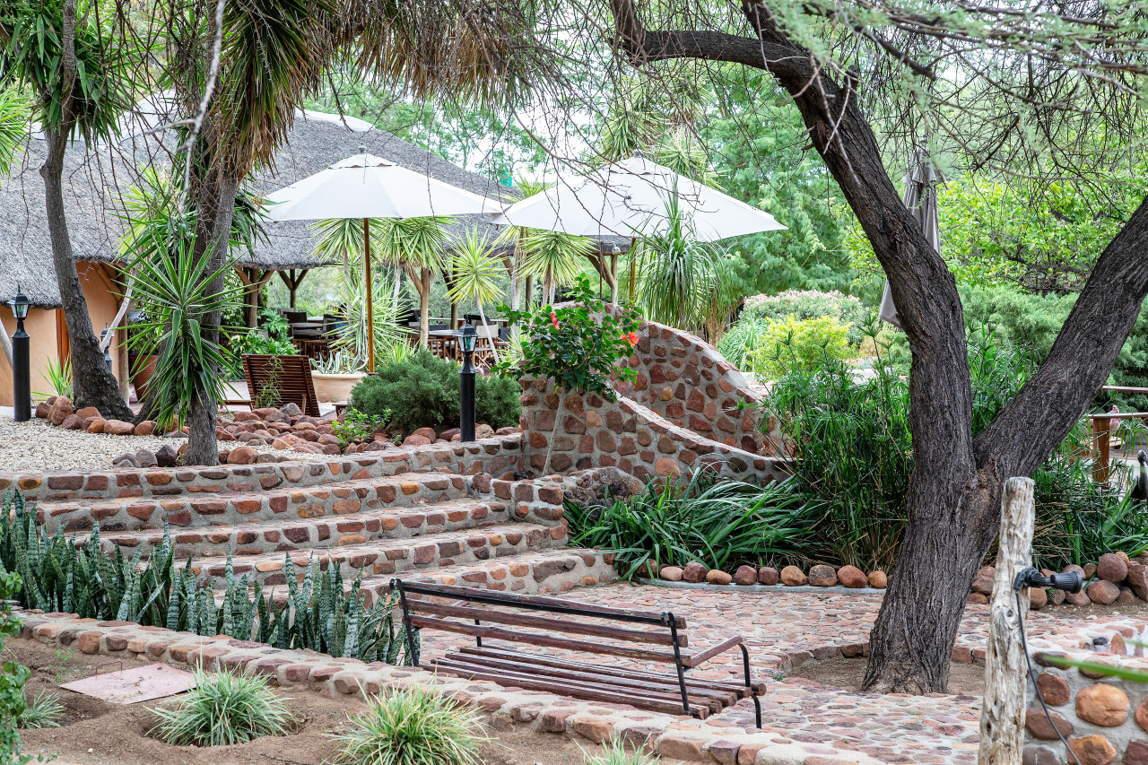 Gepflegter Garten mit exotischen Pflanzen