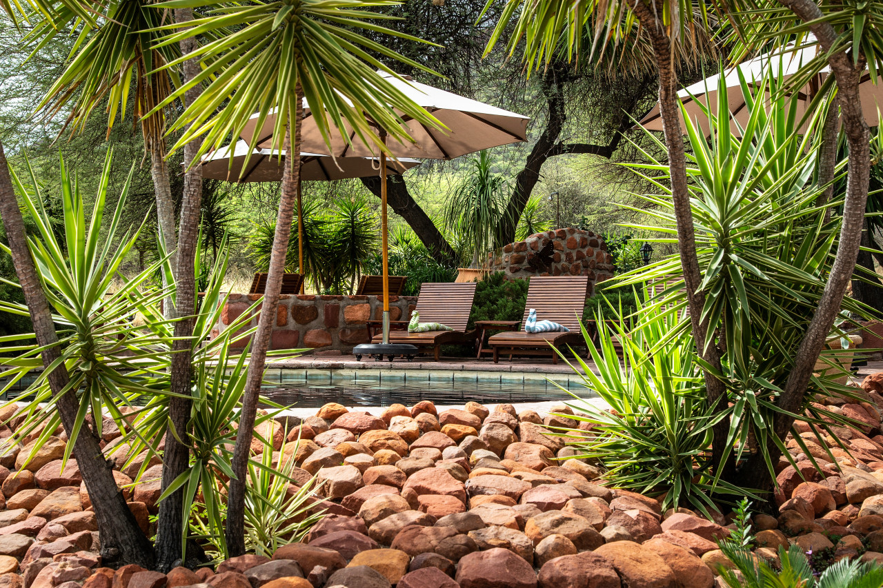 Entspannung unter schattigen Bäumen